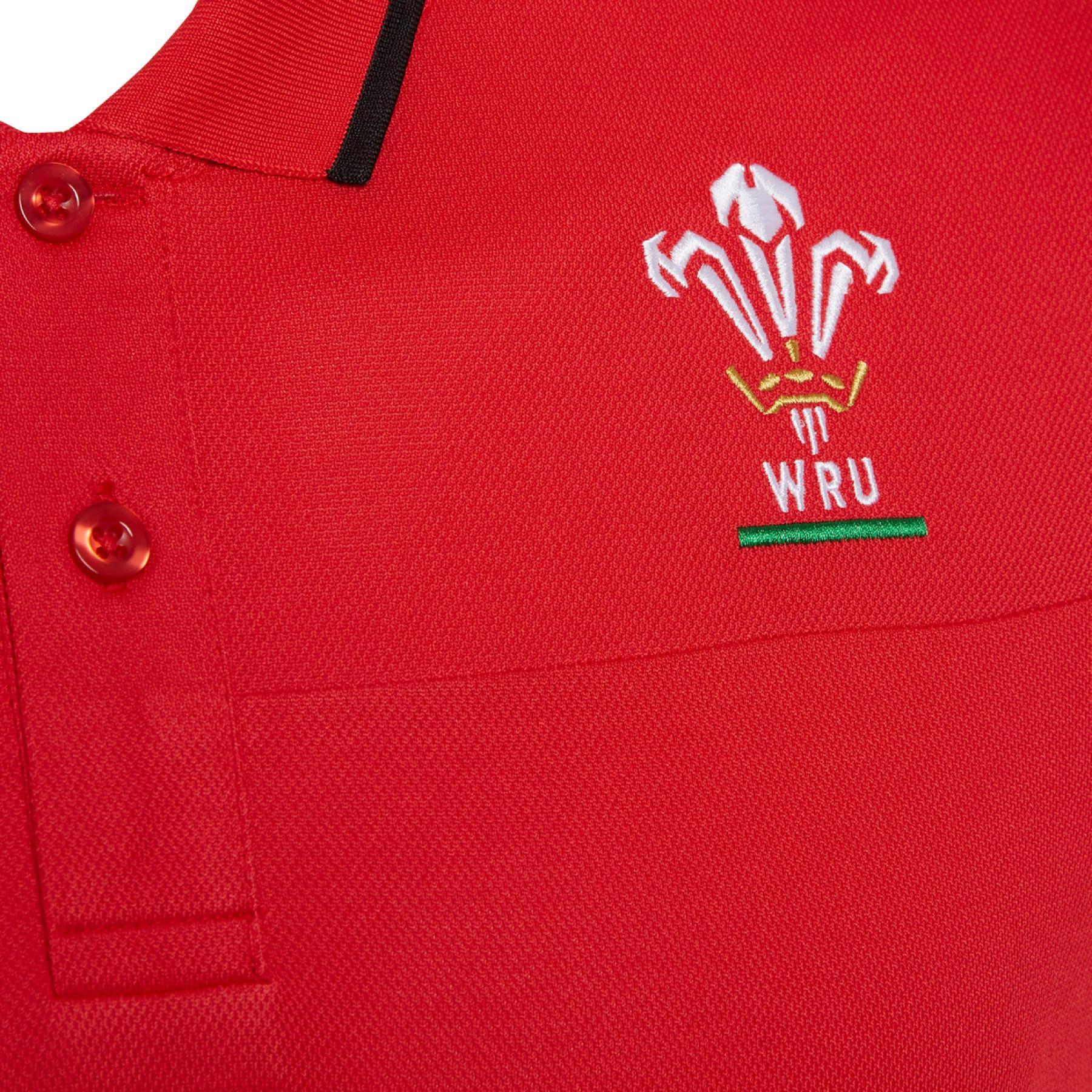 Pólo Pays de Galles rugby 2020/21