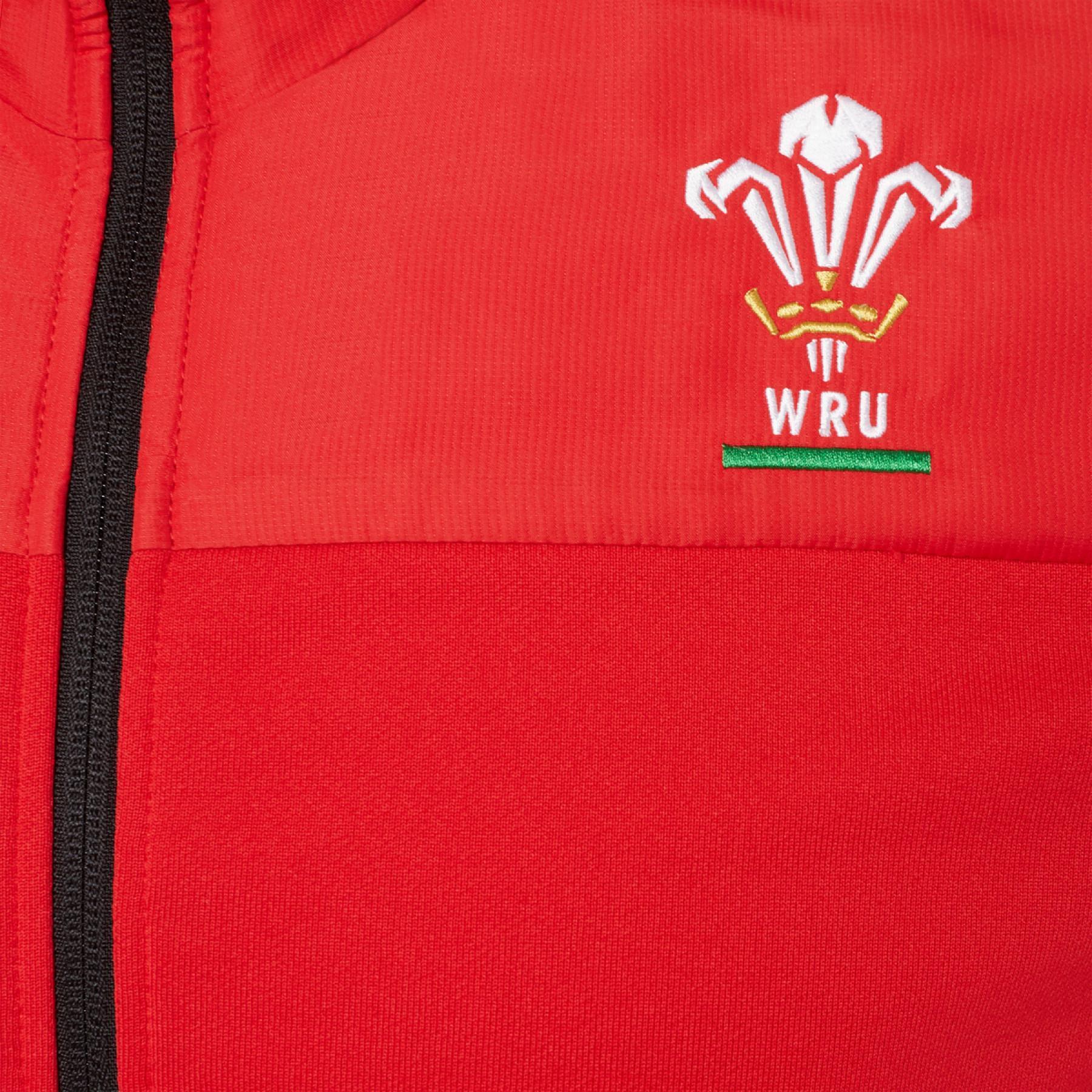 Camisola de algodão para viagem Pays de Galles rugby 2020/21