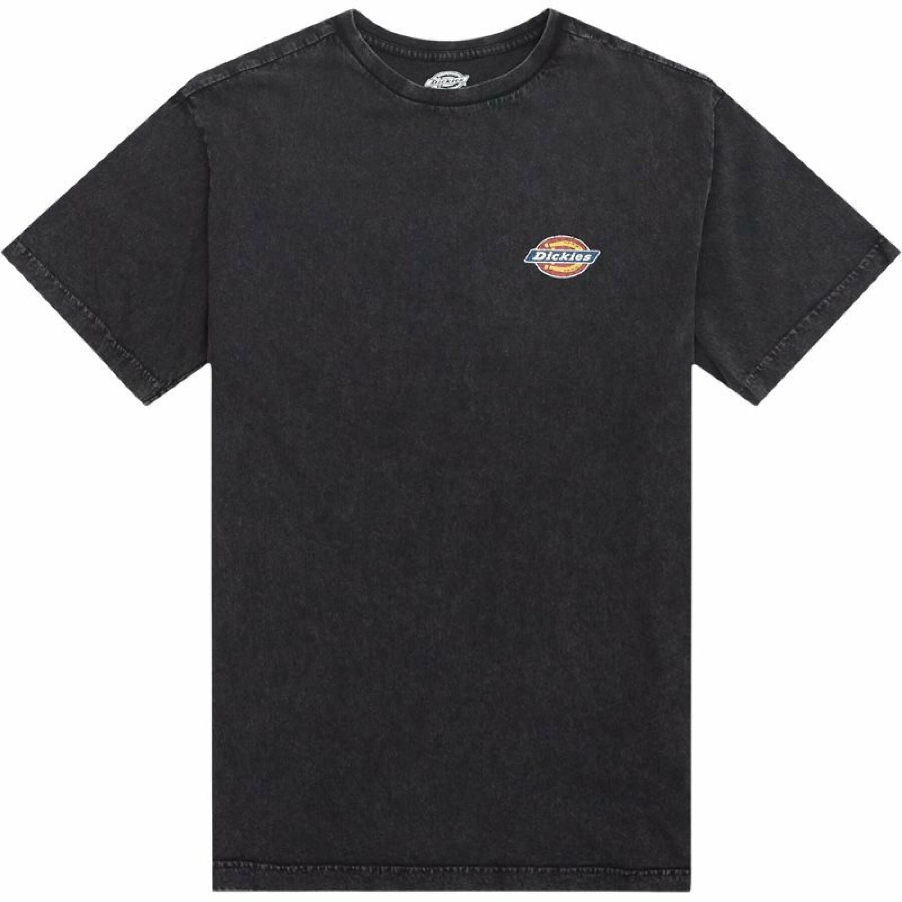 T-shirt Dickies Icon Washed