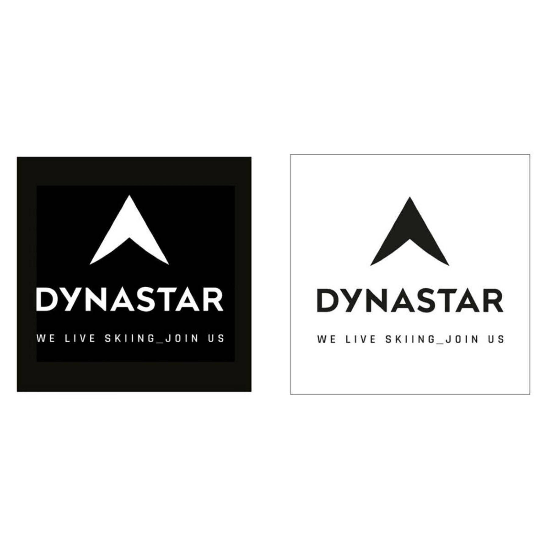 Autocolantes Dynastar L10 corporate