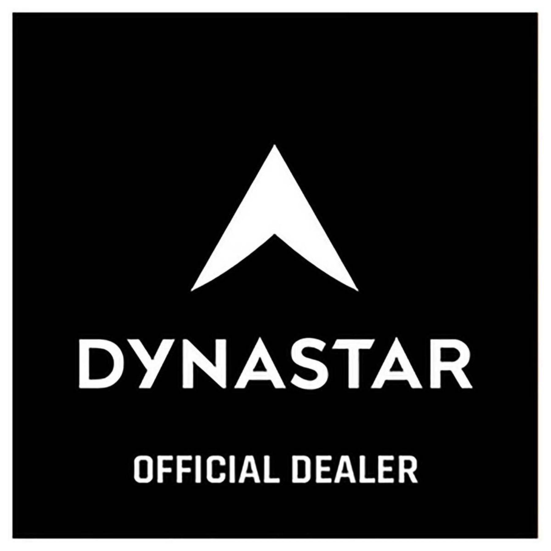 Autocolantes Dynastar L2 official dealers