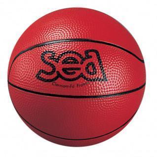 Bola basquetebol descoberta Sporti France Sea