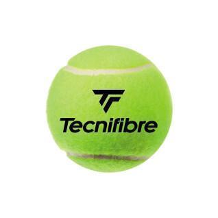 Conjunto de 4 bolas de ténis Tecnifibre Club Pet