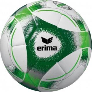 Bola Erima Hybrid Training 2.0