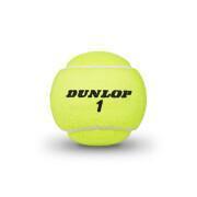 Conjunto de 3 bolas de ténis Dunlop extra life