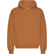 Sweatshirt com capuz de grandes dimensões Colorful Standard Organic Ginger Brown