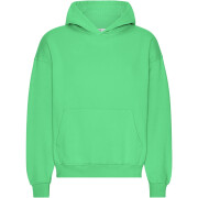Sweatshirt com capuz de grandes dimensões Colorful Standard Organic Spring Green