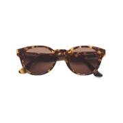 Óculos escuros Colorful Standard 12 classic havana/brown