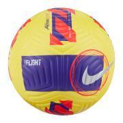 Balão Nike Flight