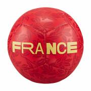 Balão France Pitch 2022/23