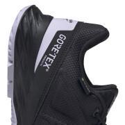 Sapatos de rasto para mulheres Reebok Astroride Gtx 2.0